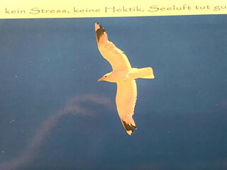 Ferienwohnung Marienleuchte Umgebung 20