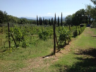 Casa per le vacanze Sassofortino Ambiente 24
