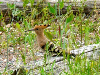 Casa per le vacanze Sassofortino Ambiente 22