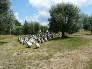 Casa per le vacanze Sassofortino Ambiente 26