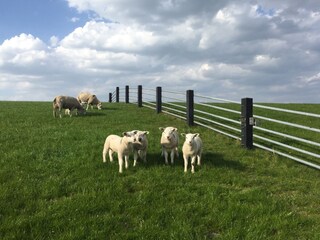 Casa per le vacanze Ballum Ambiente 29