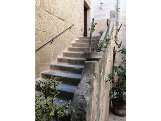 Fattoria Mosta Registrazione all'aperto 2