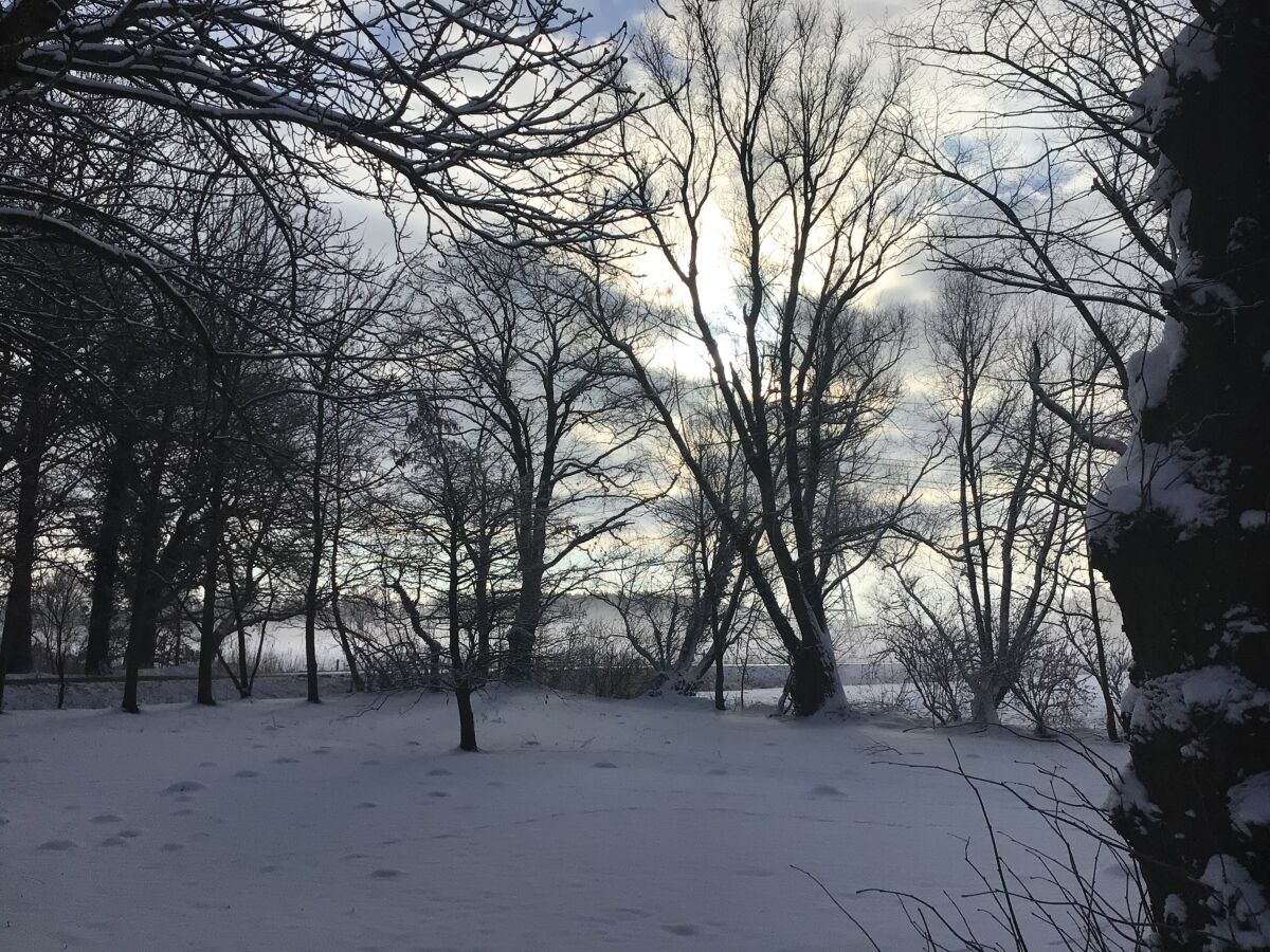 Das weitläufige Grundstück im Schnee