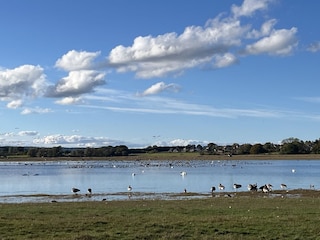 Ein beliebter Rastplatz mit Blick auf den Kranichring