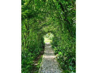 Bungalow Jarabacoa Registrazione all'aperto 4