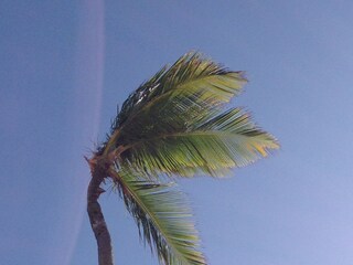 Bungalow Jarabacoa Ambiente 35