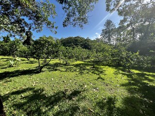 Bungalow Jarabacoa Registrazione all'aperto 12