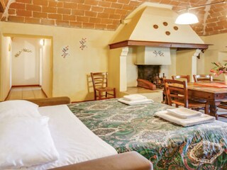 Fattoria Montescudaio Caratteristiche 18