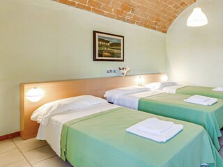 Fattoria Montescudaio Caratteristiche 17