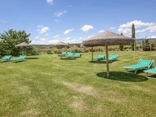 Fattoria Montescudaio Registrazione all'aperto 4