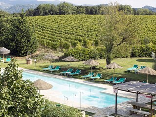 Fattoria Montescudaio Registrazione all'aperto 8