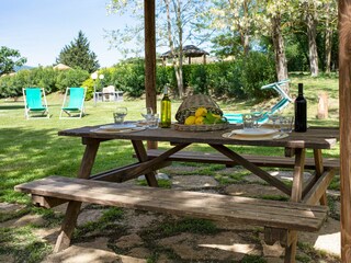 Fattoria Montescudaio Registrazione all'aperto 11