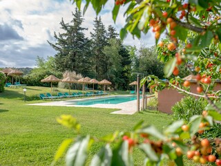 Fattoria Montescudaio Registrazione all'aperto 10