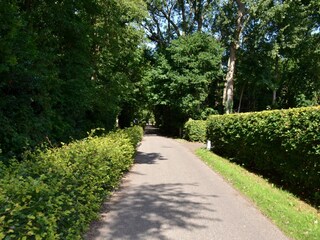 Casa per le vacanze Schoorl Ambiente 25