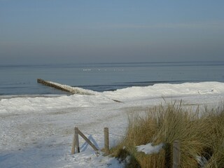 Holiday apartment Zingst Features 19