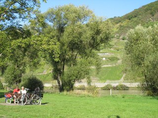 Radfahren direkt entlang der Mosel