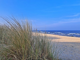 Strand und Ostsee