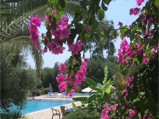 Villa Koroni Grabación al aire libre 6