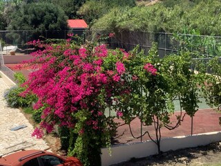 Villa Koroni Grabación al aire libre 16