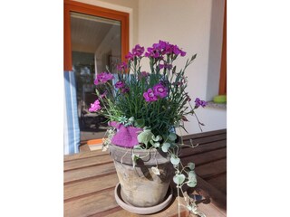 Appartamento per vacanze Warnow bei Grevesmühlen Registrazione all'aperto 3