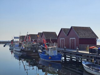 Appartement de vacances Warnow bei Grevesmühlen Environnement 15