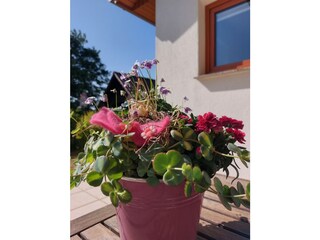 Appartamento per vacanze Warnow bei Grevesmühlen Registrazione all'aperto 3