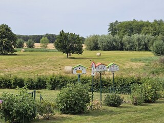 Vakantieappartement Warnow bei Grevesmühlen Buitenaudio-opname 8