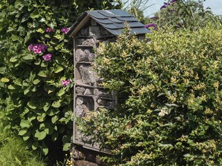 Vakantieappartement Julianadorp Omgeving 31