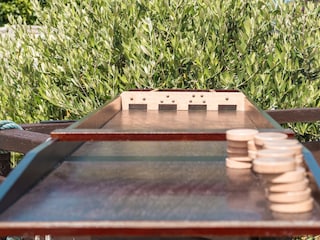 Sjoelbak -holländ. Billard