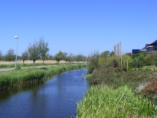 A         ussicht vom Steg