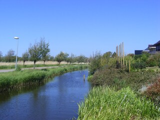 Aussicht vom Steg