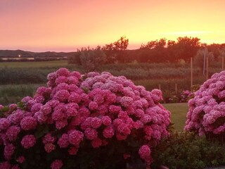 Sonnenuntergang immer wieder anders