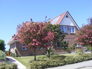 Apartamento de vacaciones Julianadorp Grabación al aire libre 5