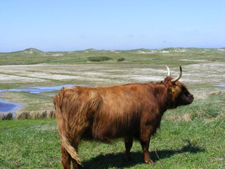 Unterwegs in den Dünen