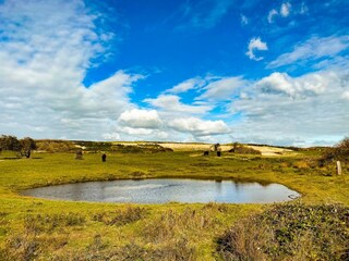Casa per le vacanze Oostkapelle Ambiente 29