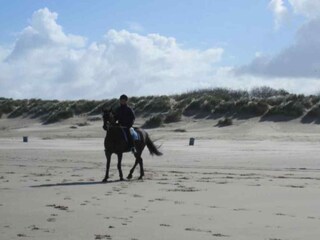 Casa per le vacanze Zonnemaire Ambiente 26