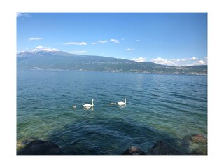 Appartamento per vacanze Toscolano-Maderno Ambiente 31