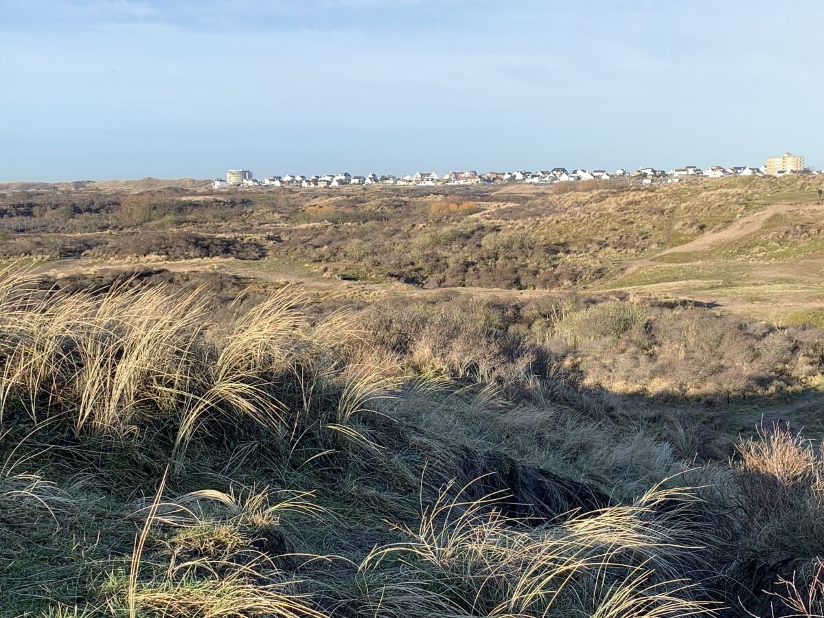 Ferienwohnung Zandvoort Umgebung 15