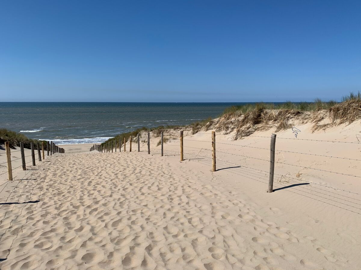 Ferienwohnung Zandvoort Umgebung 17