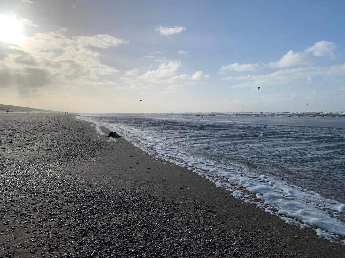 Ferienwohnung Zandvoort Umgebung 20