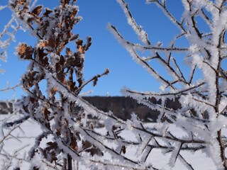 Appartamento per vacanze Bad Sachsa Ambiente 29