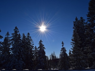 Apartamento de vacaciones Bad Sachsa Entorno 31