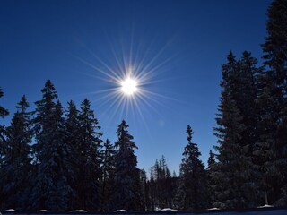 Appartamento per vacanze Bad Sachsa Ambiente 31