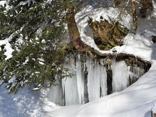 Appartamento per vacanze Bad Sachsa Ambiente 32