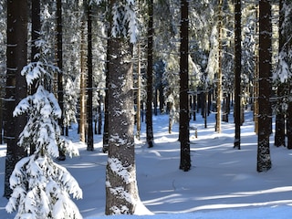 Apartamento de vacaciones Bad Sachsa Entorno 34