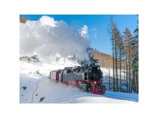 Appartamento per vacanze Bad Sachsa Ambiente 35