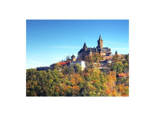 Appartamento per vacanze Bad Sachsa Ambiente 27