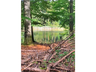 Apartamento de vacaciones Bad Sachsa Entorno 37