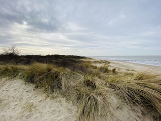 Vakantiehuis Breskens Omgeving 21