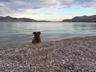 Ferienwohnung Baska Außenaufnahme 8